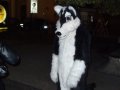 DSCF2916.JPG